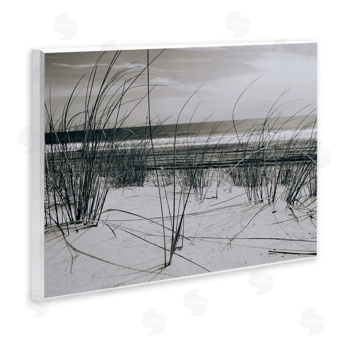 Graffitee Studios Ocean Dunes Photography Wall Plaque Artside_