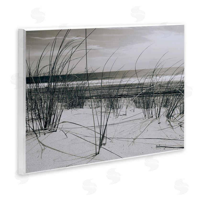 Graffitee Studios | Ocean Dunes Photography