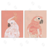 Chen Alyesh | Peach Cockatoo Parrot Profile