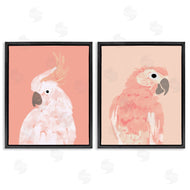 Chen Alyesh | Peach Cockatoo Parrot Profile