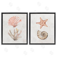 Filippo Ioco | Neutral Pastel Sea Life