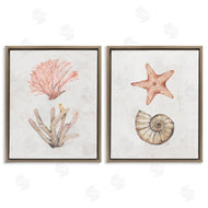 Filippo Ioco | Neutral Pastel Sea Life