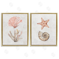 Filippo Ioco | Neutral Pastel Sea Life