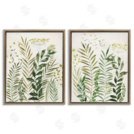 Hannah Dawson | Varied Leaves & Fronds