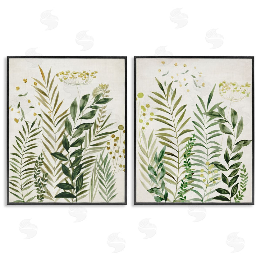 Hannah Dawson | Varied Leaves & Fronds