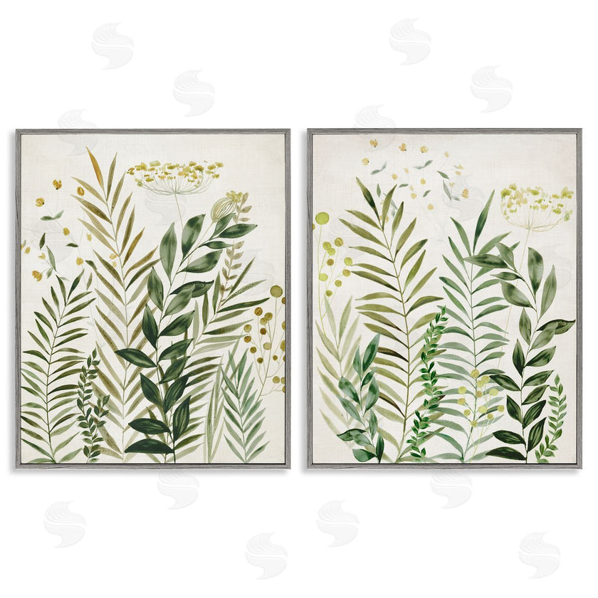 Hannah Dawson | Varied Leaves & Fronds