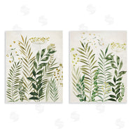 Hannah Dawson | Varied Leaves & Fronds