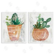 Carol Robinson | Boho Cacti & Succulents