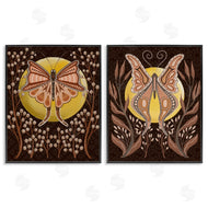 Regina Moore  | Moth & Moons in Nature