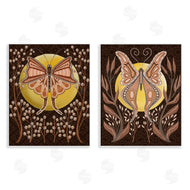 Regina Moore  | Moth & Moons in Nature