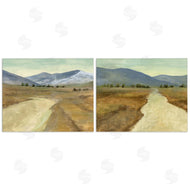 Michael Willett  | Barren Desert Path