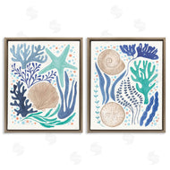 Veronique Charron | Coastal Currents Sea Life