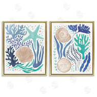 Veronique Charron | Coastal Currents Sea Life