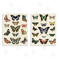 Susan Arnot | Antique Butterfly Collection