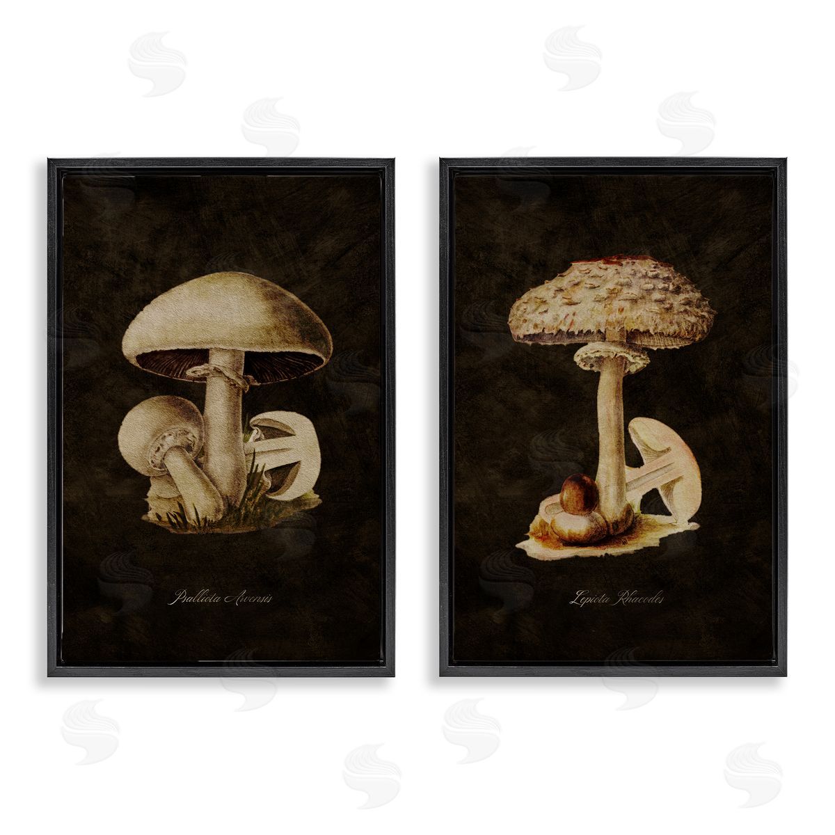 Vintage Mushrooms on Black Black Floating Frame Canvas Wall Art, Home Decor by Tina Higgins Designs, Inc.