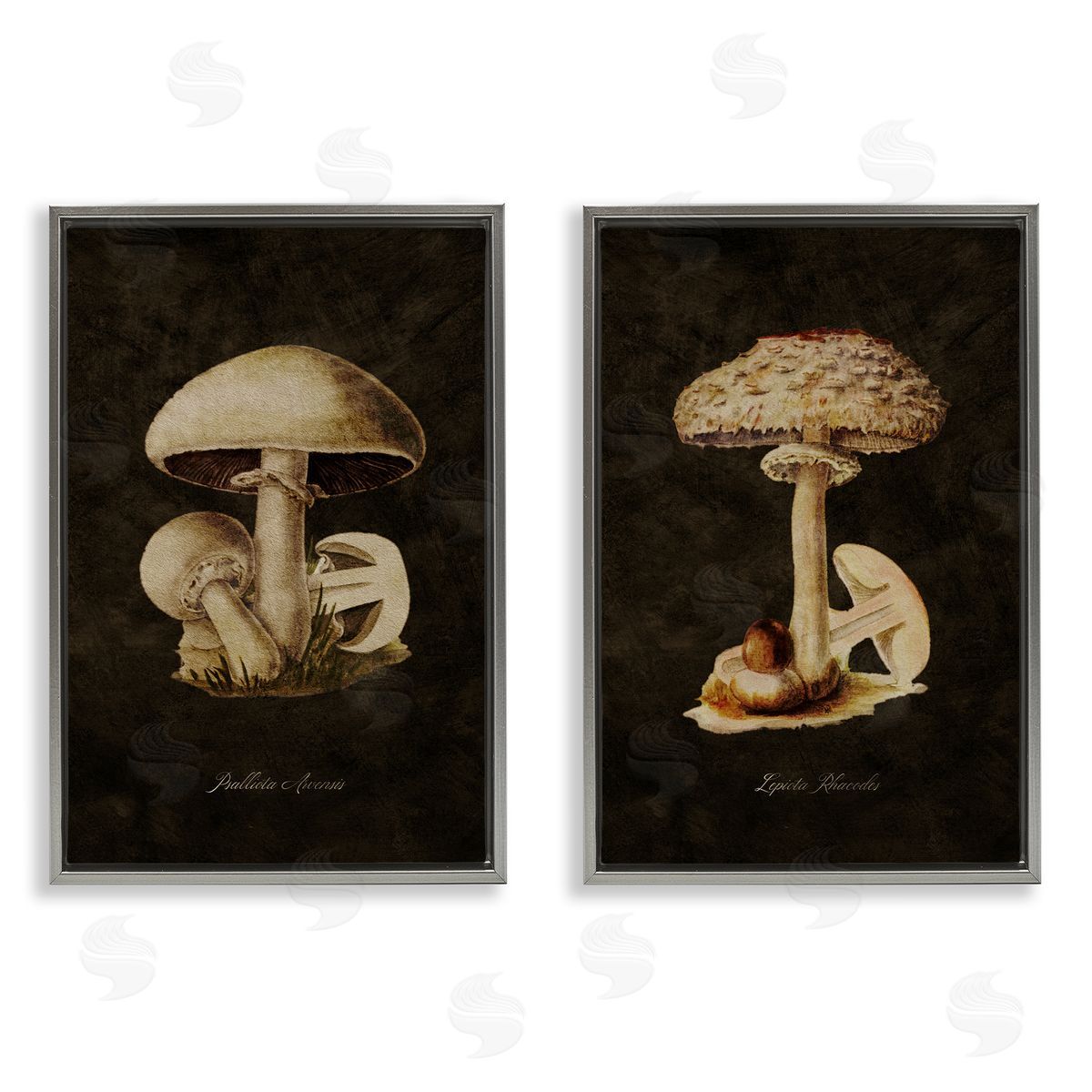 Vintage Mushrooms on Black Grey Floating Frame Canvas Wall Art, Home Decor by Tina Higgins Designs, Inc.