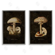 Tina Higgins Designs, Inc. | Vintage Mushrooms on Black