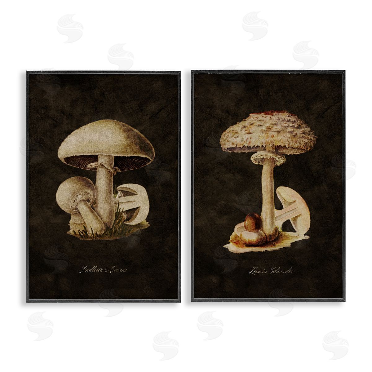 Vintage Mushrooms on Black Black Frame Print Wall Art, Home Decor by Tina Higgins Designs, Inc.