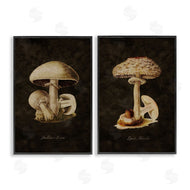 Tina Higgins Designs, Inc. | Vintage Mushrooms on Black