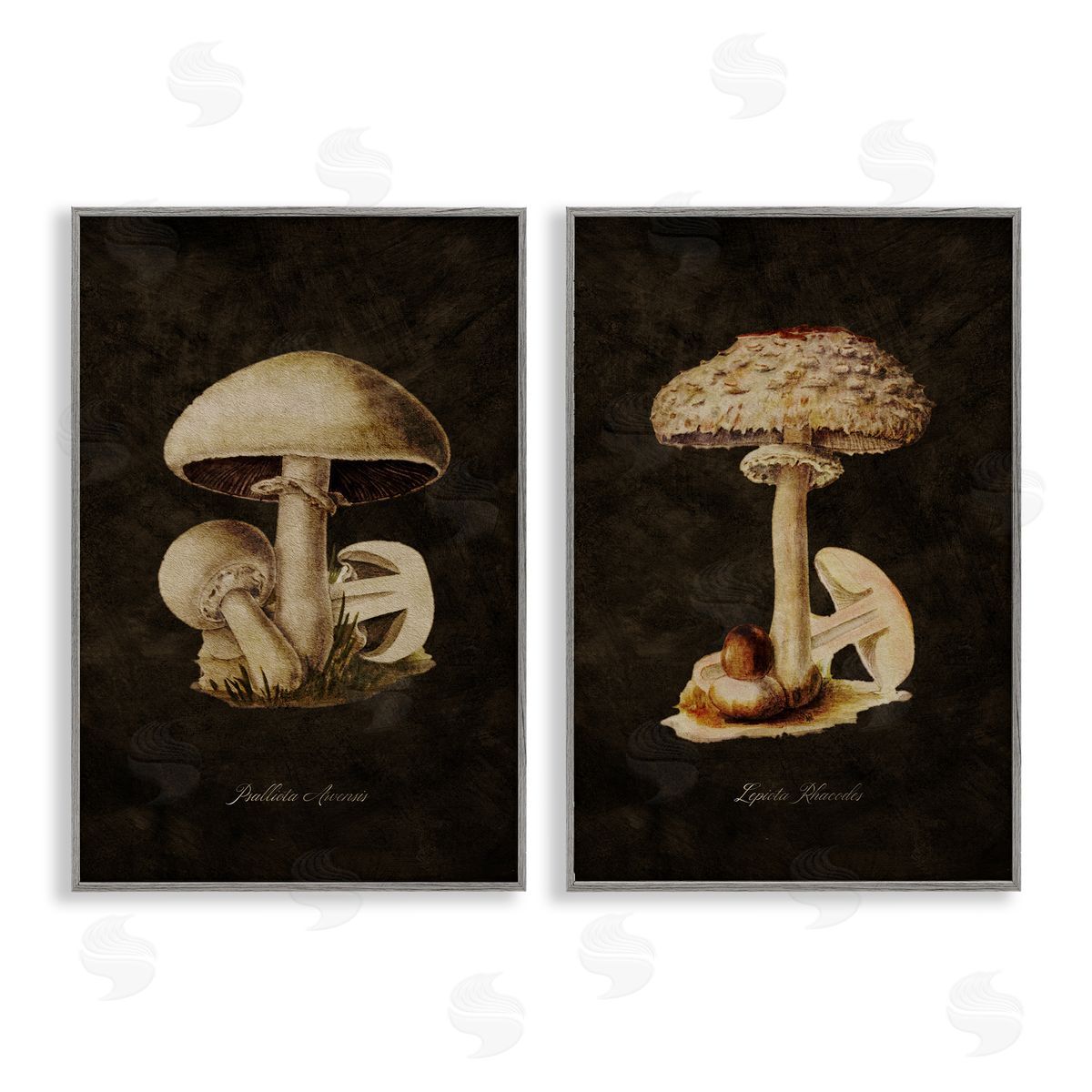 Vintage Mushrooms on Black Grey Frame Print Wall Art, Home Decor by Tina Higgins Designs, Inc.