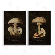 Tina Higgins Designs, Inc. | Vintage Mushrooms on Black