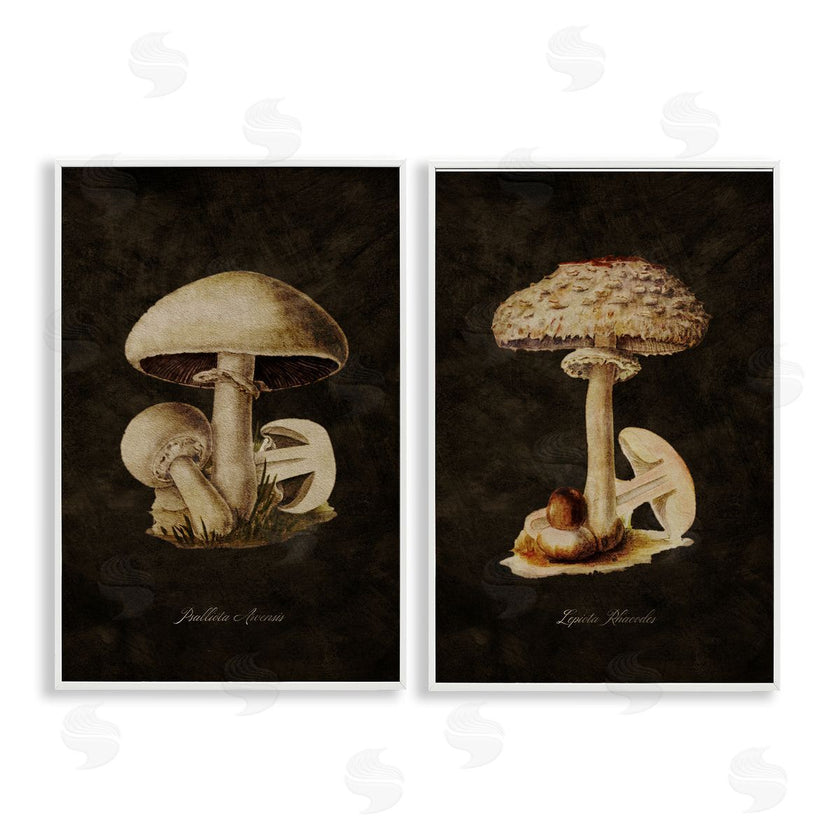 Tina Higgins Designs, Inc. | Vintage Mushrooms on Black