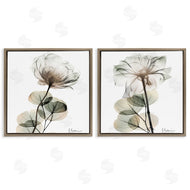 Albert Koetsier | Cream Transparent Floral