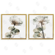 Albert Koetsier | Cream Transparent Floral