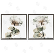 Albert Koetsier | Cream Transparent Floral