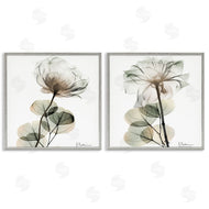 Albert Koetsier | Cream Transparent Floral