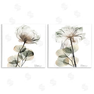 Albert Koetsier | Cream Transparent Floral
