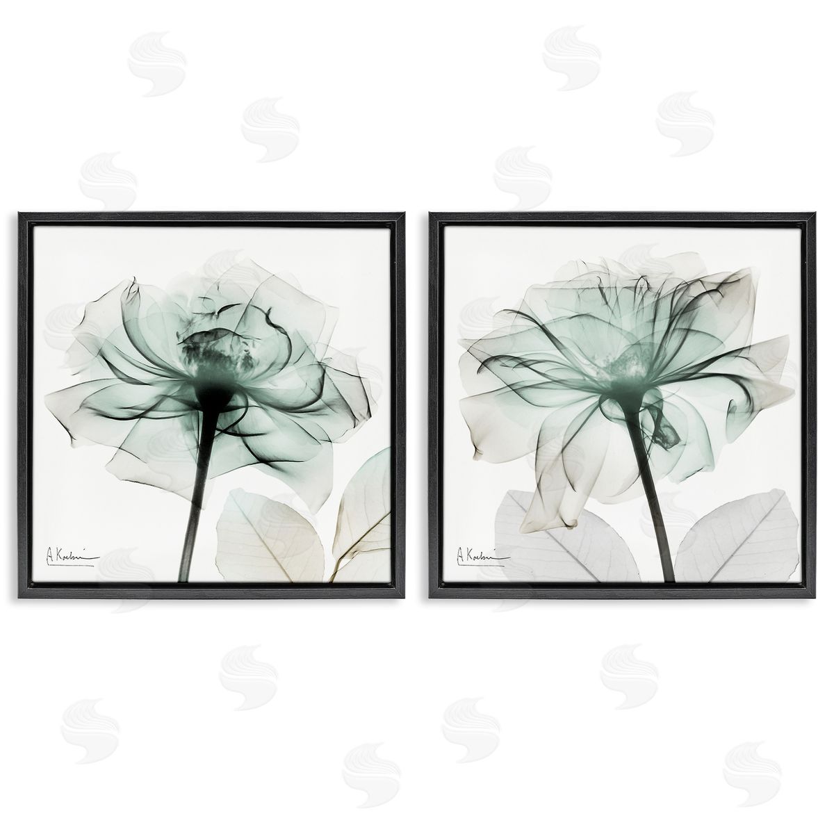 Serene Emerald Rose Black Floating Frame Canvas Wall Art, Home Decor by Albert Koetsier