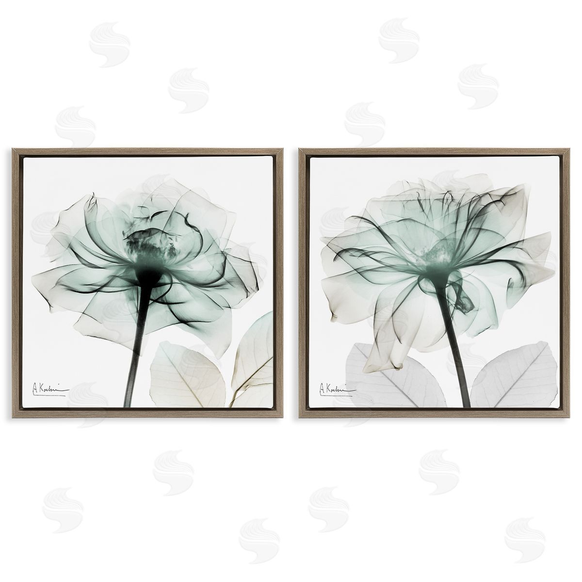 Serene Emerald Rose Brown Floating Frame Canvas Wall Art, Home Decor by Albert Koetsier