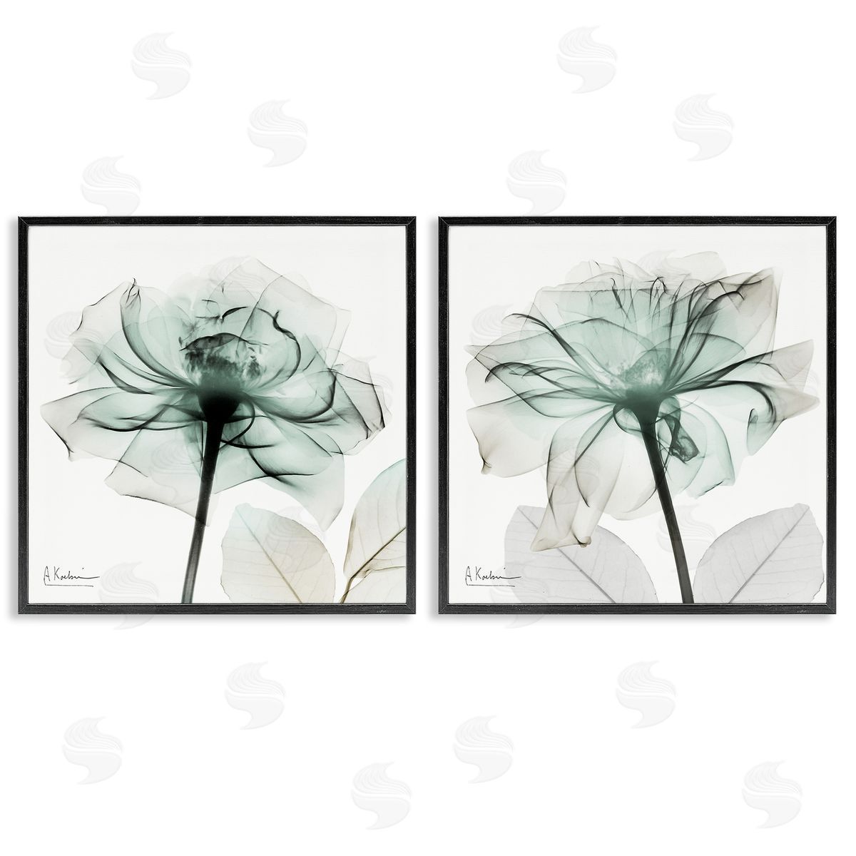 Serene Emerald Rose Black Frame Print Wall Art, Home Decor by Albert Koetsier