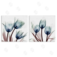 Albert Koetsier | Vibrant Blue Tulips