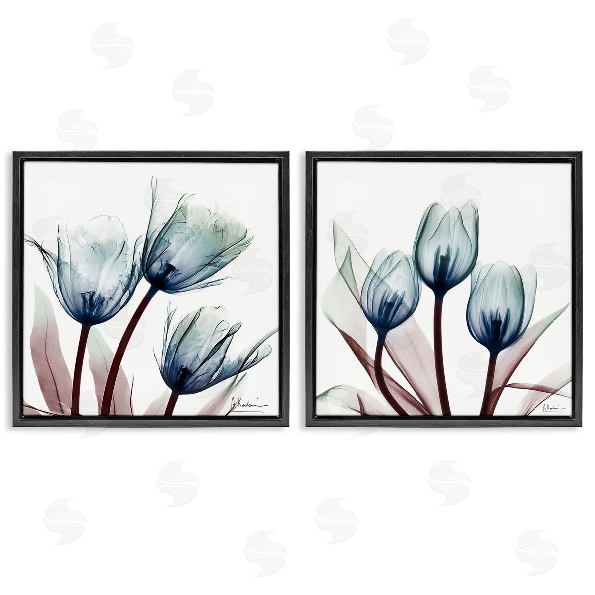 Vibrant Blue Tulips Black Floating Frame Canvas Wall Art, Home Decor by Albert Koetsier