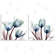 Albert Koetsier | Vibrant Blue Tulips