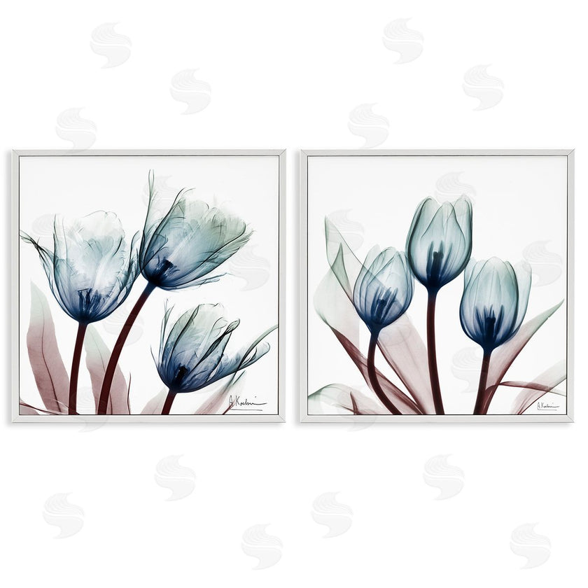 Albert Koetsier | Vibrant Blue Tulips