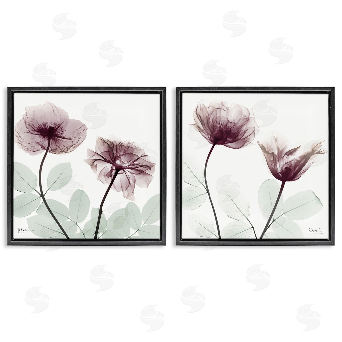 Delicate Mauve Flowers Black Floating Frame Canvas Wall Art, Home Decor by Albert Koetsier