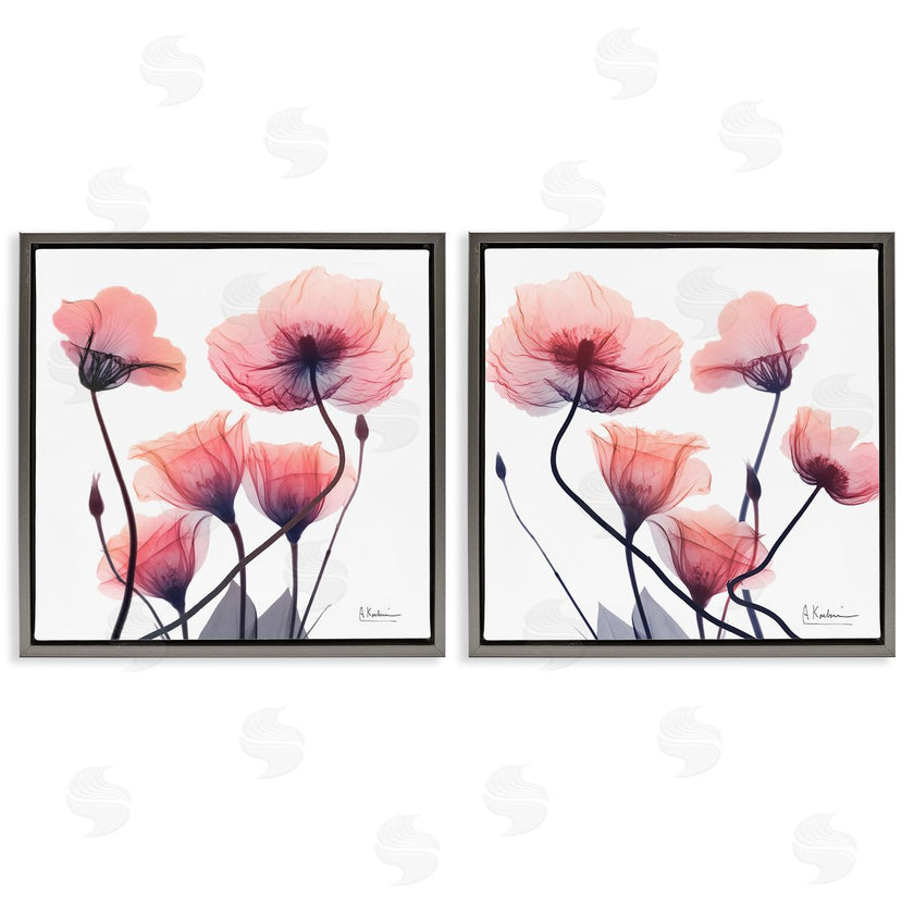 Albert Koetsier | Various Faded Pink Flowers