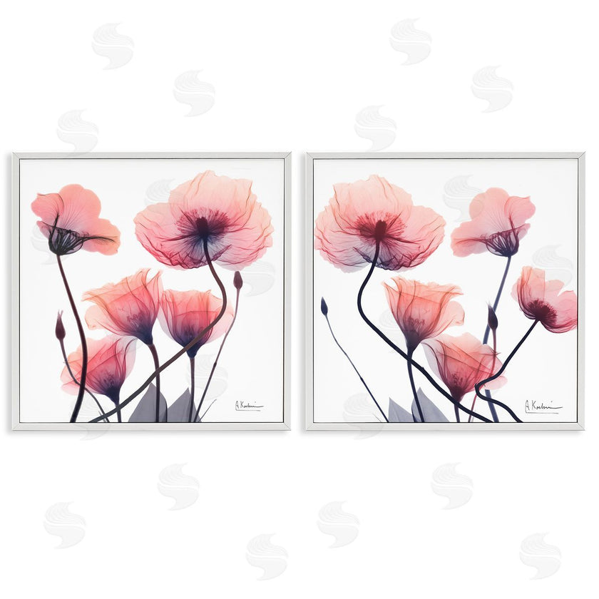 Albert Koetsier | Various Faded Pink Flowers