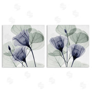 Albert Koetsier | Fading Florals & Herbs
