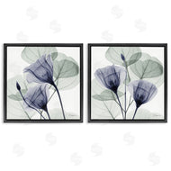 Albert Koetsier | Fading Florals & Herbs