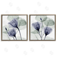 Albert Koetsier | Fading Florals & Herbs