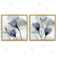 Albert Koetsier | Fading Florals & Herbs