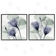 Albert Koetsier | Fading Florals & Herbs