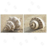 Dora Rotondella | Neutral Tone Sea Life