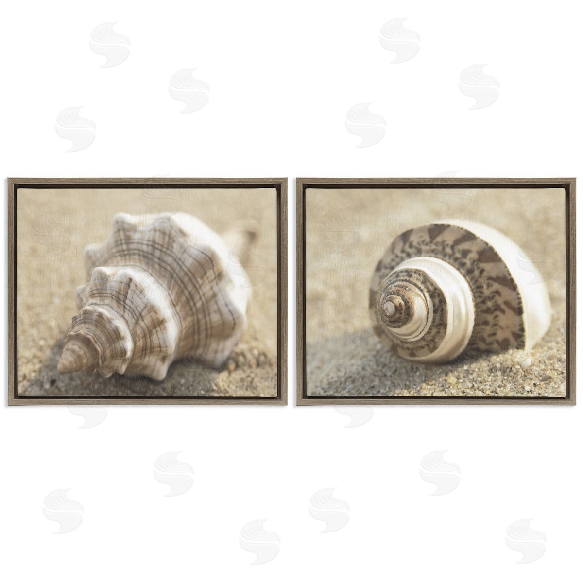 Neutral Tone Sea Life Brown Floating Frame Canvas Wall Art, Home Decor by Dora Rotondella