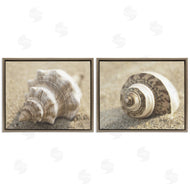 Dora Rotondella | Neutral Tone Sea Life