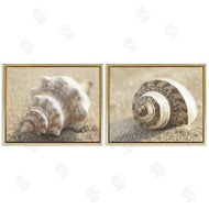 Dora Rotondella | Neutral Tone Sea Life